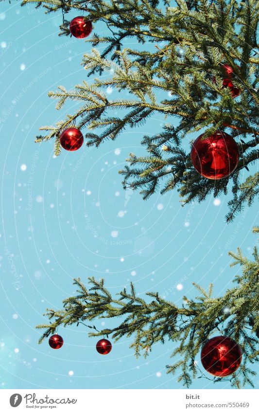 Oh Tannenbaum Winter Schnee Feste & Feiern Weihnachten & Advent Kitsch Krimskrams glänzend kalt rund blau grün rot Stimmung Weihnachtsbaum Weihnachtsdekoration