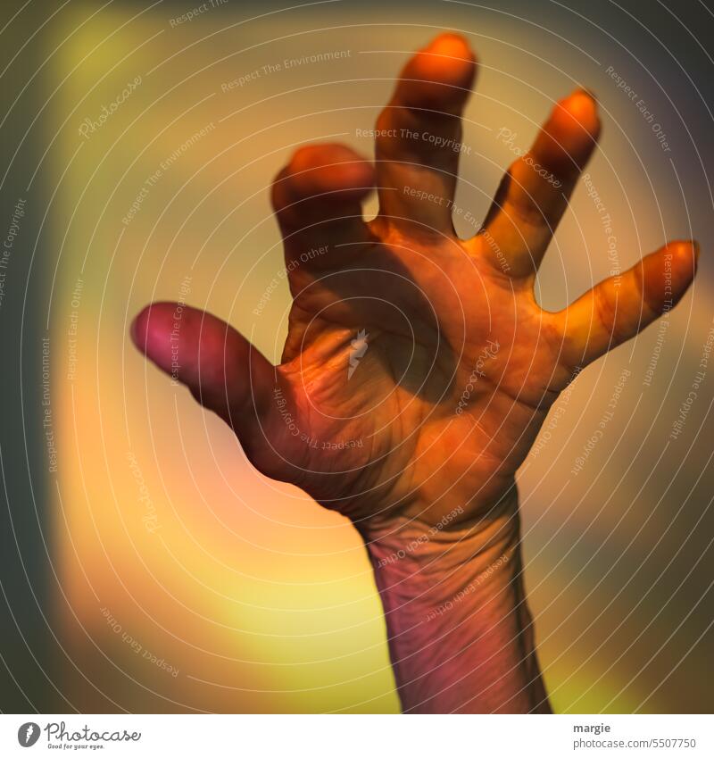 Grusel Hand Finger Nahaufnahme Detailaufnahme Haut gruselig gruseln Zombie alt faltig Farbfoto fassen unheimlich Mensch geisterhaft Unschärfe Geisterstunde