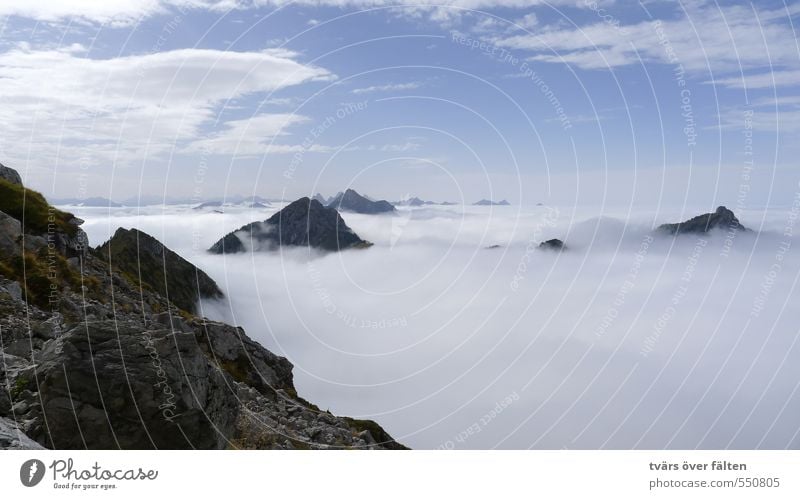 über den Wolken Landschaft Luft Himmel Sommer Schönes Wetter Alpen Berge u. Gebirge Krähe Zufriedenheit Erholung Horizont Leben Leichtigkeit Natur