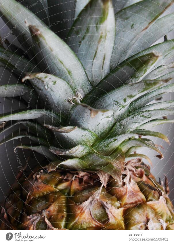 Frische Ananas Frucht Obst blätter Schale Exotik exorisch tropisch Lebensmittel frisch süß Gesundheit Ernährung lecker saftig Vegetarische Ernährung