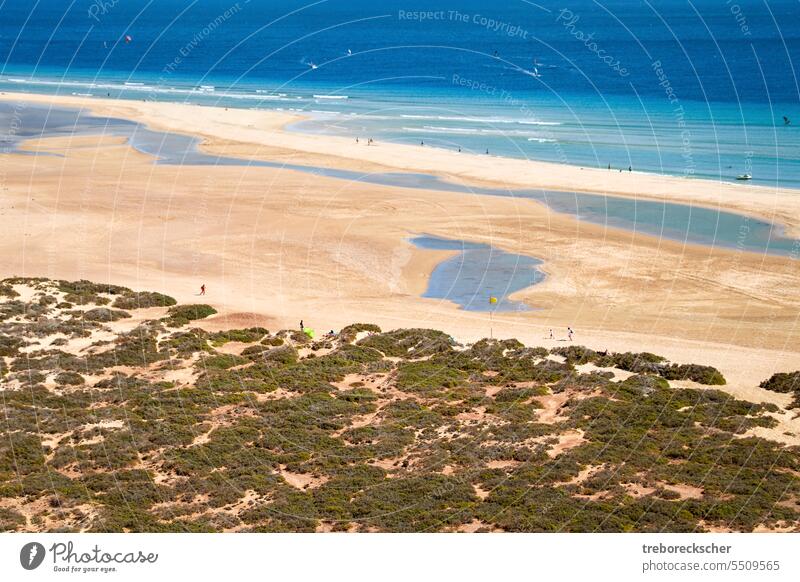 Blick von oben auf die große, weite Sandbucht von Risco del Paso auf der spanischen Insel Fuerteventura Bucht Strand risco del paso Spanisch atlantisch