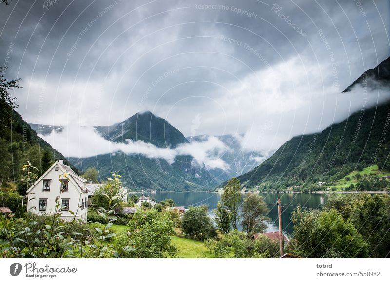 Norway No.1 Ferien & Urlaub & Reisen Sightseeing Berge u. Gebirge Natur Landschaft Pflanze Urelemente Luft Wasser Himmel Wolken Wetter schlechtes Wetter Nebel