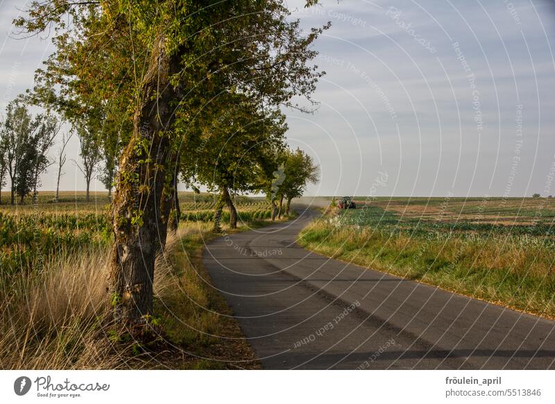 Final | Winding Road | Landstraße mit Bäumen und in der Ferne erntet ein Traktor Straße Verkehrswege Wege & Pfade Asphalt Fahrbahn unterwegs Landschaft