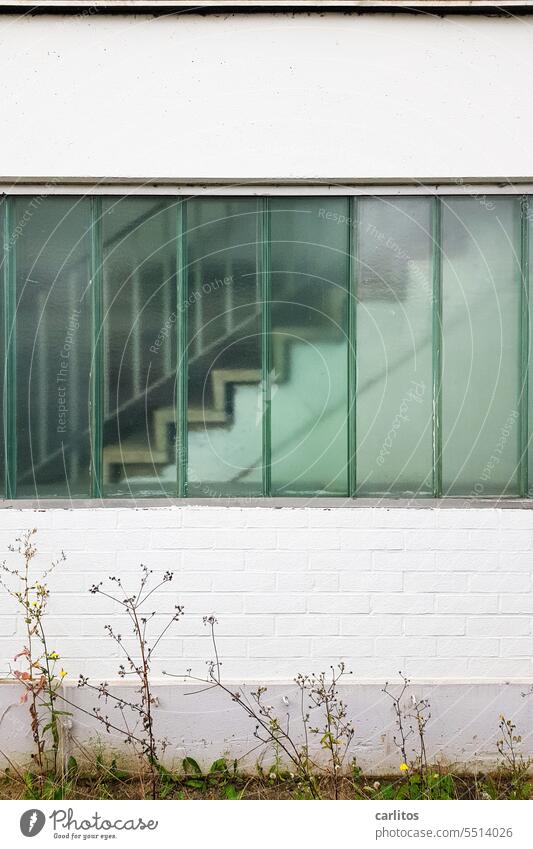 Treppe hinter Glas |  es geht nur noch abwärts im geschlossenen Markt Sicherheitsglas Fenster Geländer Handlauf Supermarkt Treppengeländer aufwärts Treppenhaus