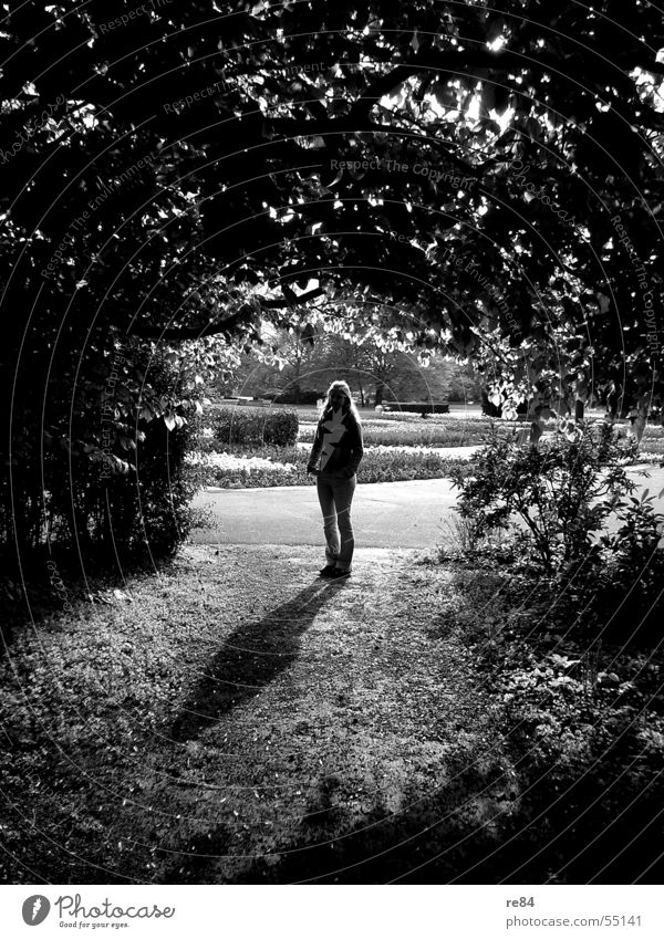 schattenspiele - hoffnung steht am ende des tunnels Tunnel Licht Frau Baum Sträucher Hoffnung Eingang stehen dunkel hell Schatten Blick Pflanze Ecke Sonne