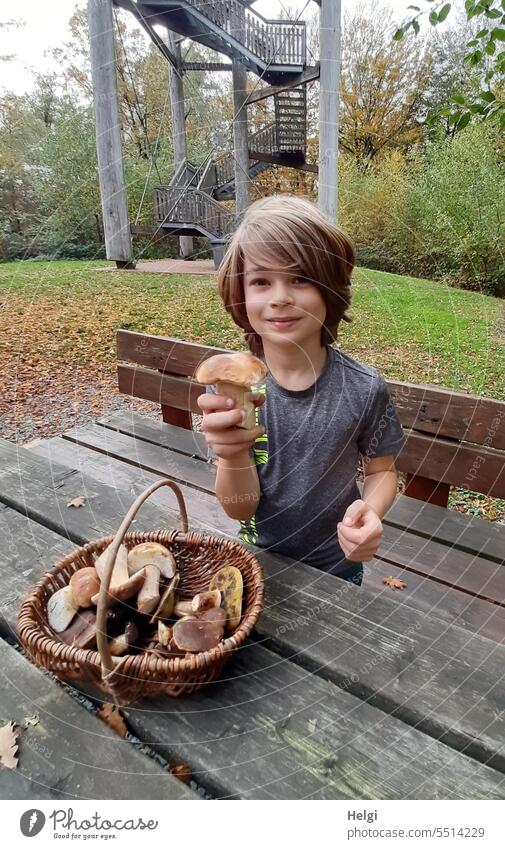 Glückspilz - Junge hält einen dicken Steinpilz in der Hand, auf einem Holztisch steht ein Weidenkorb mit Pilzen Kind Mensch Korb Pilze sammeln Marone draußen