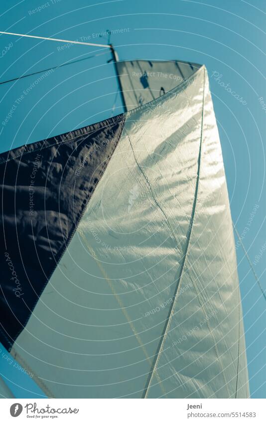 Segeln Ostsee Wasser Wassersport Sonne Freizeit & Hobby Mast Schiff Segelboot blau Meer Ferien & Urlaub & Reisen Segelschiff Freiheit Abenteuer Wind Himmel