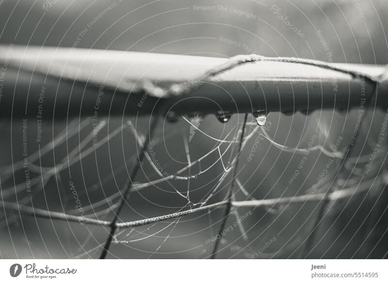 Fußballtor im Herbst Nebel Natur Dunst Wassertropfen Herbstmorgen Morgendämmerung Stimmung Tropfen Freizeit & Hobby Licht herbstlich Spinnweben nass Regen