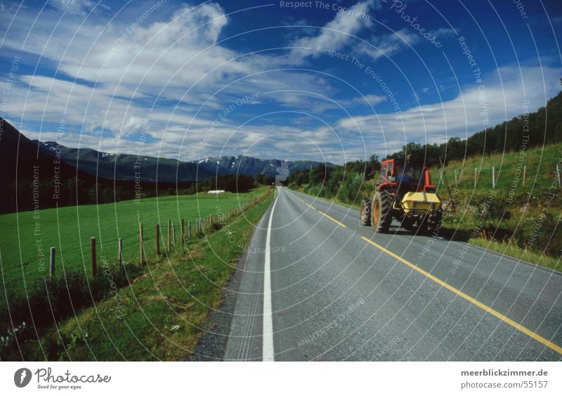 Landwirtschaft Traktor Feld Wiese grün Norwegen Lofoten Mittellinie Wolken Zaun Streifen alt Blauer Himmel Berge u. Gebirge Straße Grenze Linie