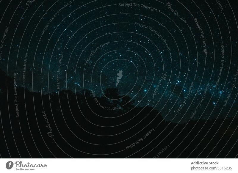 Dunkler Himmel voller Sterne Natur Nacht Wald dunkel Baum Astronomie glühen Umwelt Wälder Weltall sternenklar Galaxie Licht Mysterium Schmuckkörbchen Waldgebiet