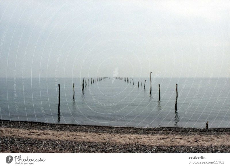 Tag am Meer Horizont Strand Unendlichkeit Einsamkeit Reuse Windstille ruhig grau Ferne möve blau-grau