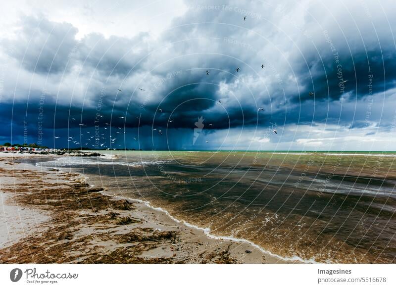 Gewitterwolken über dem Meer. Küstenlandschaft in Deutschland. Ostsee mit dramatischem Himmel Vögel Seeschwalben atmosphärisch Strand schwarz Klima Klimawandel