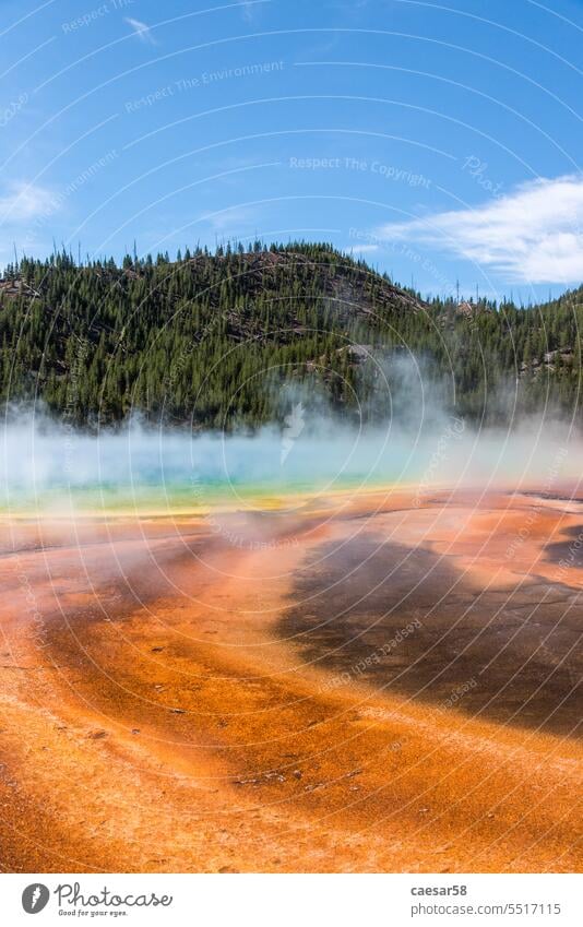 Berühmtes Becken der Grand Prismatic Spring im Yellowstone-Nationalpark Wasser See prismatische Feder orange rot Dampf Holz yellowstone erwärmen Bakterien Boden