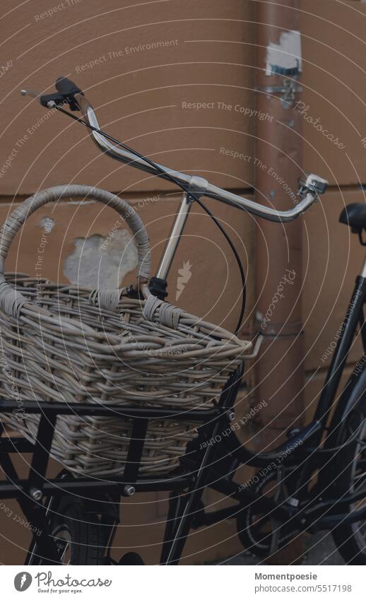 Fahrrad Korb Umweltschutz Freizeit & Hobby sportlich Straße unterwegs Fahrradtour Bewegung Verkehrsmittel Mobilität umweltfreundlich Rad nachhaltig