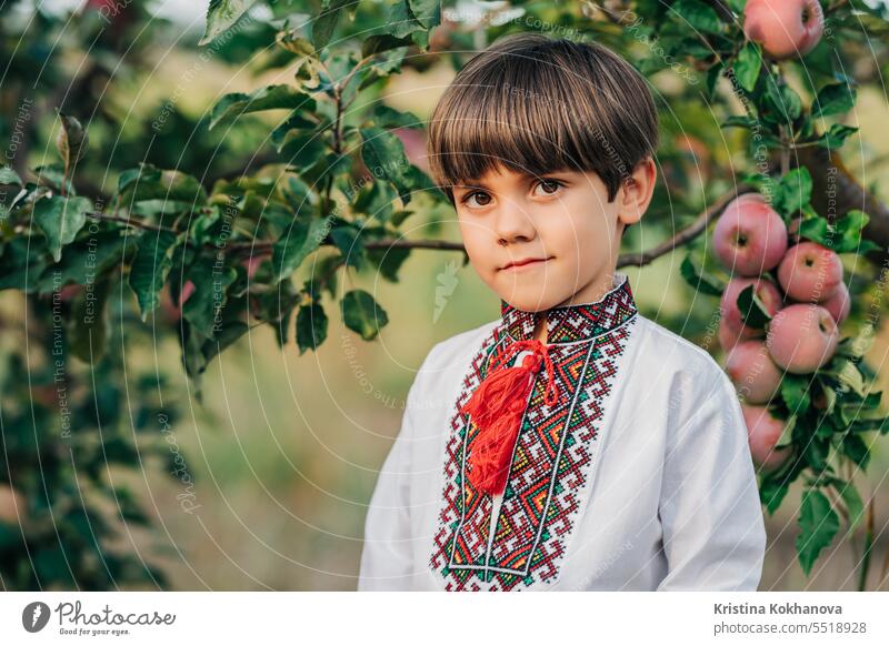 Porträt eines gutaussehenden ukrainischen Jungen in einem Apfelgarten.Kind traditionelle Stickerei Fröhlichkeit Sommer Ukraine Ukrainer Feld Glück Hintergrund