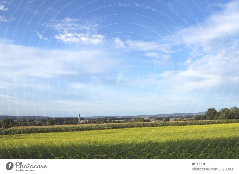 ländliche Idylle Landschaft Sonnenschein Herbst Landwirtschaft Blick in die Ferne ländliche Umgebung beschaulich friedlich Dorf Kirche Kirchturm Felder