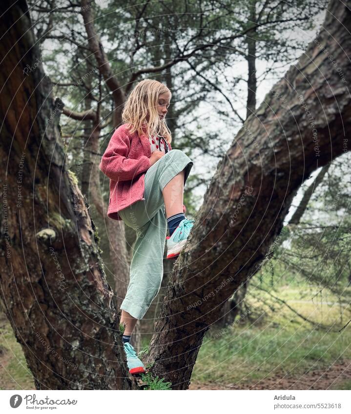 Kind klettert auf eine Kiefer im Wald klettern Natur Kindheit Spielen spielen Bewegung Klettern Mensch Mädchen Abenteuer Herbst Baumstamm Granola Granola girl