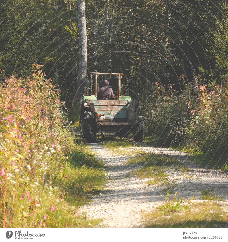 ganz schön abgefahren | in der ruhe rollt die kraft Traktor Weg Wald Waldrand Feld Arbeit Kraft Ruhe Landwirtschaft Natur Maschine Fahrzeug Bauernhof