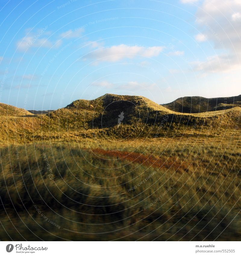 something red Lifestyle Ferien & Urlaub & Reisen Tourismus Ausflug Berge u. Gebirge Umwelt Natur Landschaft Himmel Wolken Herbst Pflanze Gras Sträucher Moos