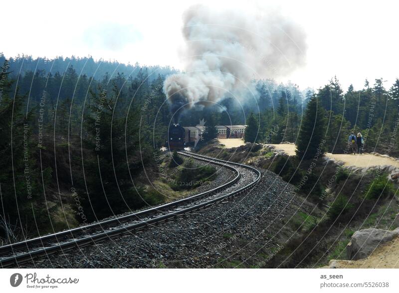 Harzer Schmalspurbahn Eisenbahn Gleise Verkehr Geschwindigkeit Ferien & Urlaub & Reisen Bahnfahren Schienenverkehr Verkehrsmittel Verkehrswege Außenaufnahme