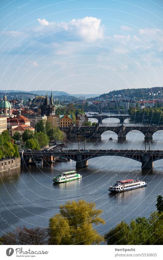 Prag mit Moldau und Brücken Fluss Europa Tschechien Stadt Ferien & Urlaub & Reisen Außenaufnahme Altstadt Tourismus Schiffe urban Städtereise Architektur