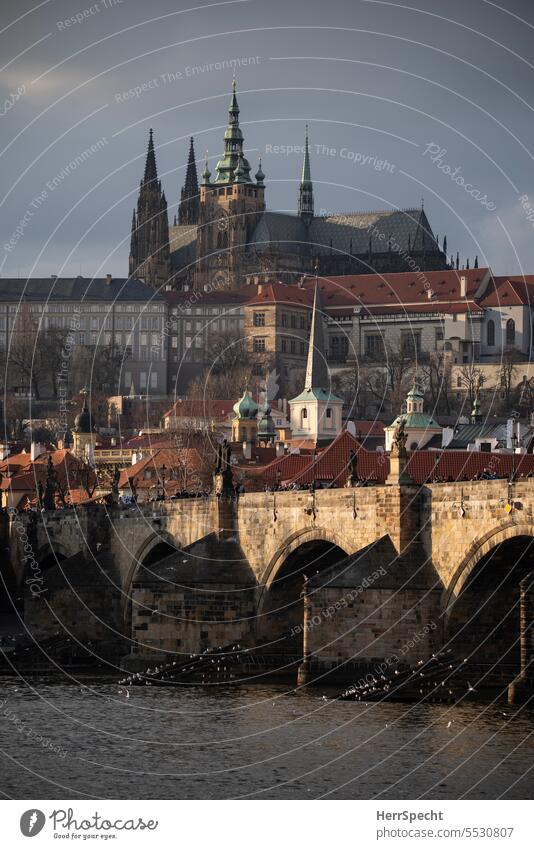 Prag mit Karlsbrücke und Burgberg Moldau Brücke Fluss Europa Tschechien Stadt Ferien & Urlaub & Reisen Außenaufnahme Altstadt Tourismus urban Städtereise