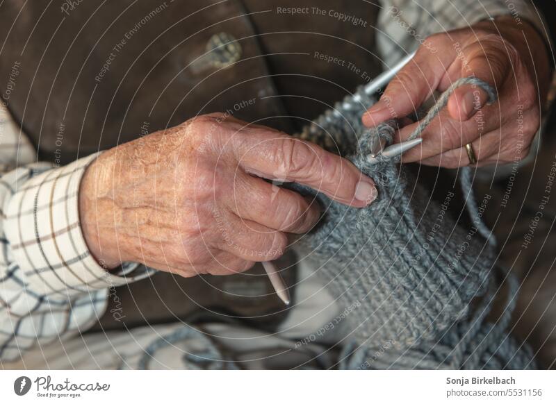 Altere Dame beim Socken stricken Stricken Handarbeiten Oma Rente Strümpfe Mensch Wolle Farbfoto Freizeit & Hobby weich Wärme Stricknadel wollig Zufriedenheit