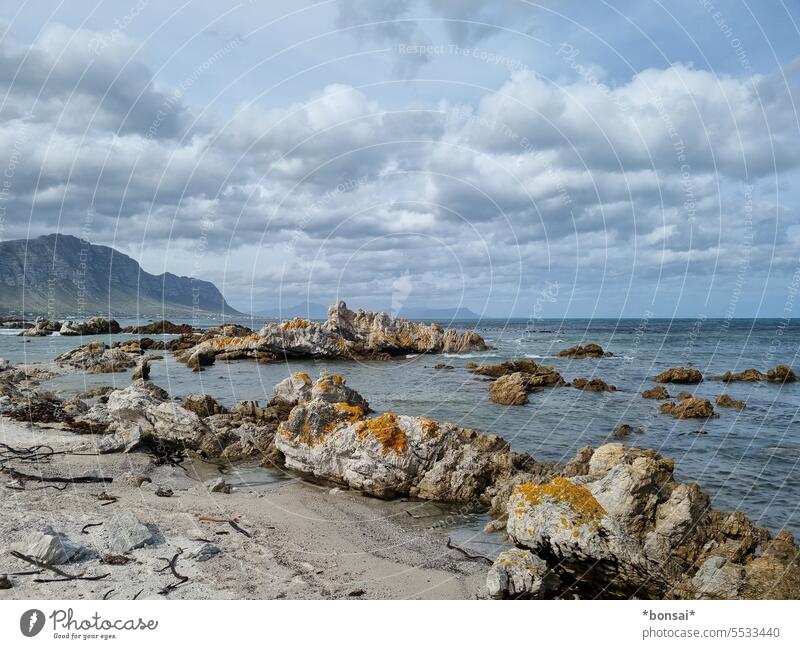 Betty's Bay Strand Küste Meer Atlantik Felsen Wasser Horizont Wolken Himmel Garden Route Westkap Südafrika Natur Landschaft Außenaufnahme