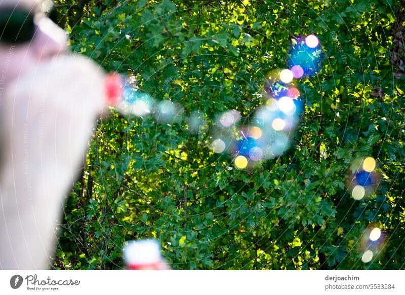 Seifen -blasen vor einer grünen Hecke. Seifenblasen blasen Spielen durchsichtig fliegen Sommer Kugel Glück mehrfarbig glänzend rund zerbrechlich Schweben