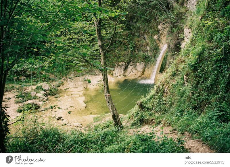 Reiseempfehlung – Rund um den Tagliamento im Friaul Wald Natur Farbfoto Außenaufnahme Landschaft Berge u. Gebirge wandern Ferien & Urlaub & Reisen Ausflug Ferne