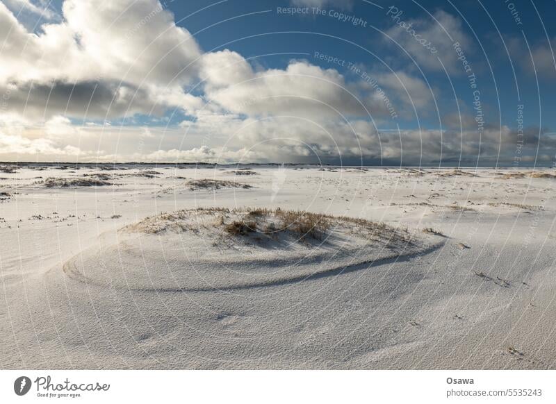 Schnee am Kniepsand Strand Dünen Winter Meer Himmel Amrum Landschaft Nordsee Dünengras Küste Wolken Sand Insel Nordseeküste