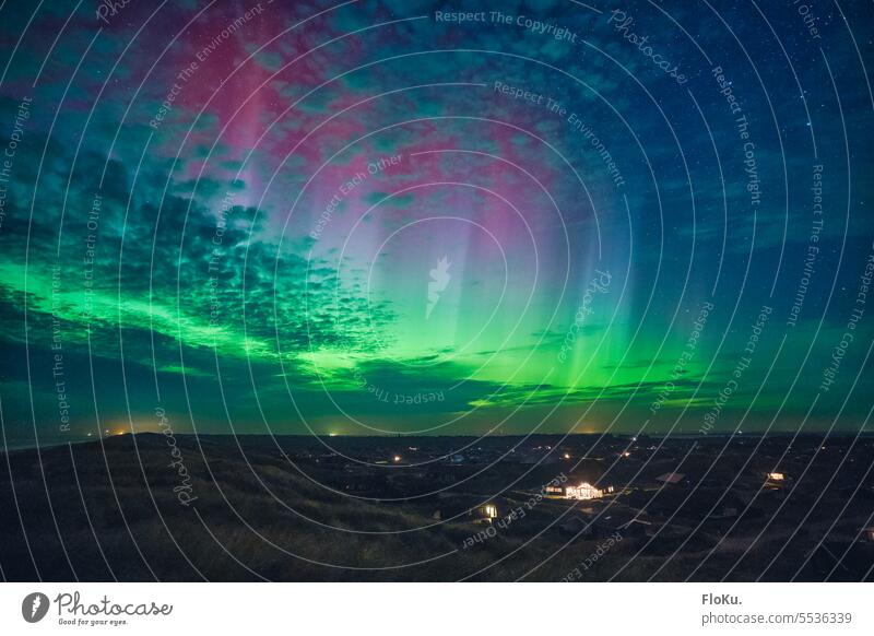 Nordlichter über Ferienhäusern in Dänemark Polarlichter aurora borealis Nacht Himmel Natur grün Landschaft Farbfoto Stern Außenaufnahme Aurora borealis
