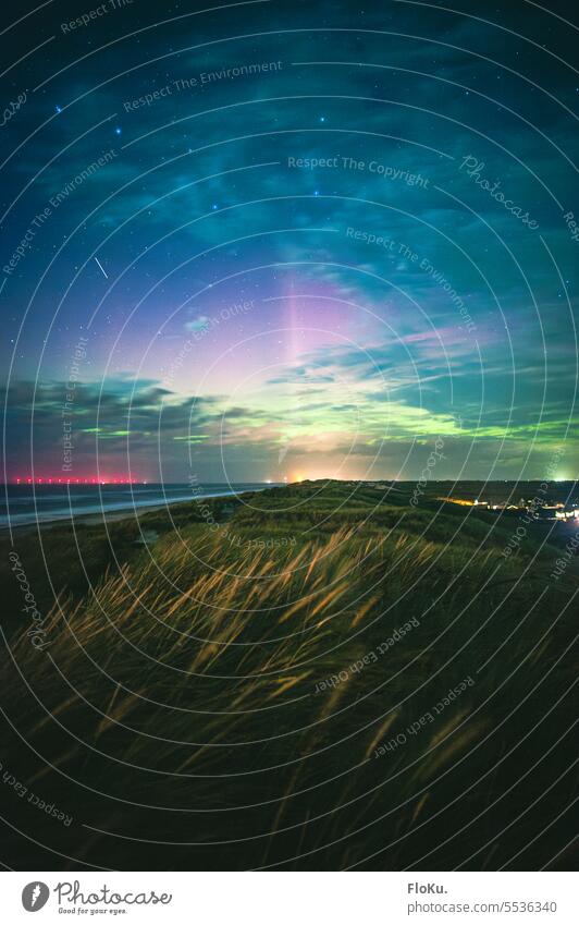 Nordlichter über den Dünen in Dänemark Polarlichter aurora borealis Nacht Himmel Natur grün Landschaft Farbfoto Stern Außenaufnahme Aurora borealis