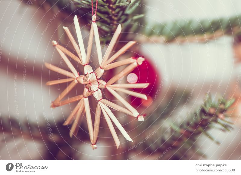 Star Baum Weihnachtsbaum Tannenzweig Dekoration & Verzierung Kitsch Krimskrams hängen Stern (Symbol) Strohfiguren strohstern Weihnachten & Advent