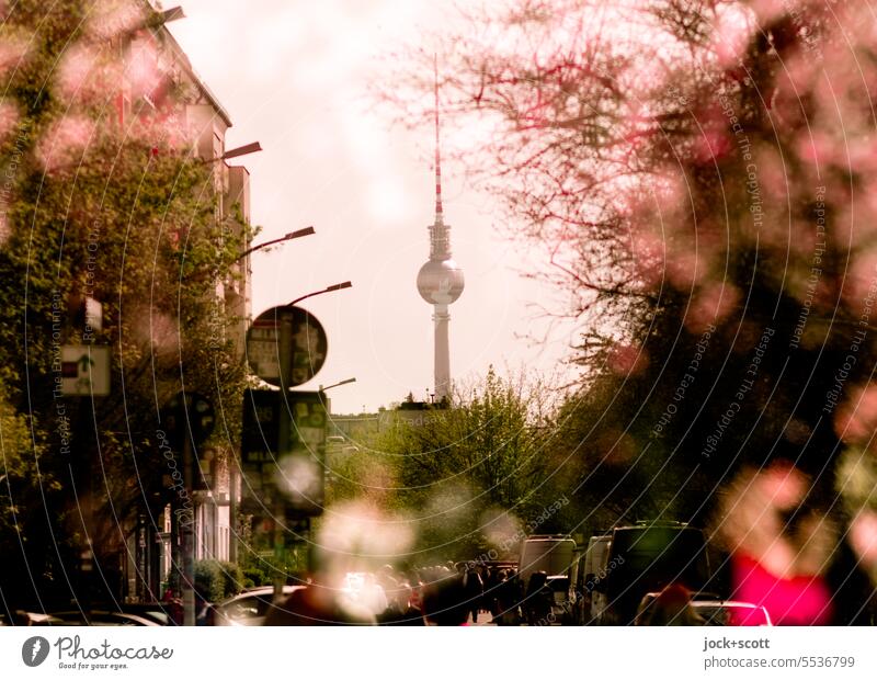 Parallelwelt | Im Rausch der Kirschblüten Berliner Fernsehturm Wahrzeichen Doppelbelichtung Prenzlauer Berg Reaktionen u. Effekte Silhouette Bokeh defokussiert