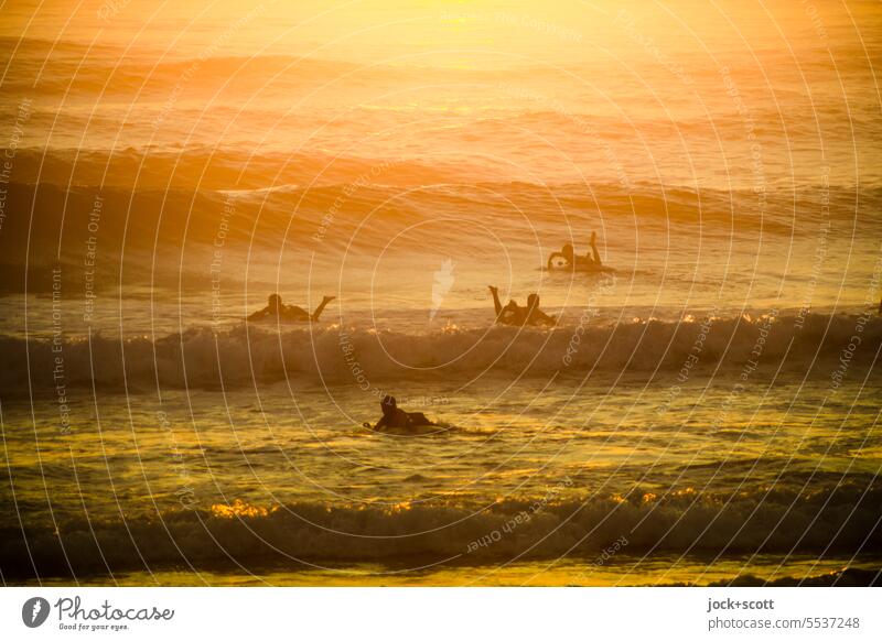auf den Surfbrettern mit den ersten Sonnenstrahlen Surfen Wellen Meer Surfer Sport Wassersport Lifestyle Surfer, die ins Meer gehen Südpazifik Sonnenaufgang