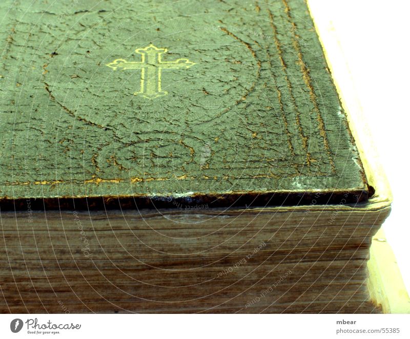 Das Buch der Bücher Bibel Religion & Glaube Papier heilig Katholizismus Protestantismus Christentum Testament Rücken alt prostestant Riss