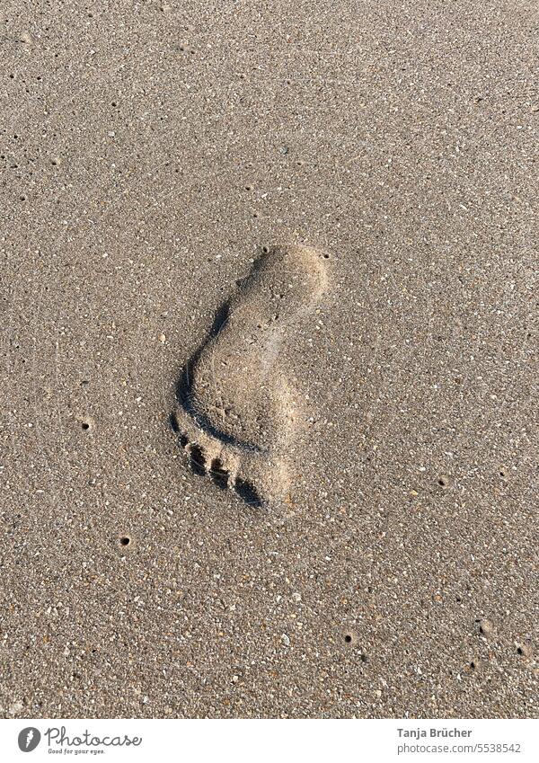 Fußspur im Sand Fußabdruck Fußspuren im Sand barfuß Barfuß barfuß am Strand Natur Spur allein alleine einsam Einsamkeit Sandstrand sandfarben Spur im Sand