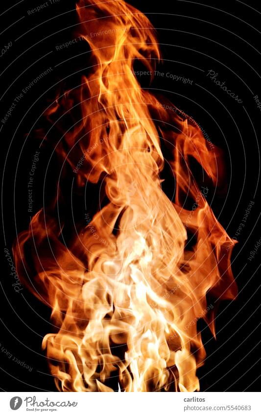 Feuer und Flamme brennen Brand heiß Wärme Glut Feuerstelle glühen Hitze glühend gefährlich gelb orange schwarz Energie dunkel hell rot Gefahr Feuerschale Hölle