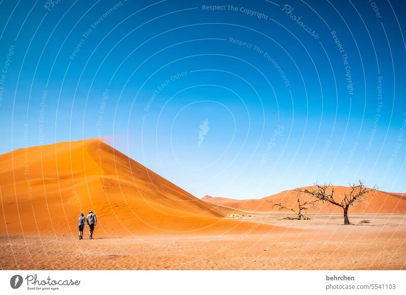 aufstieg Trockenheit Hitze Wärme magisch traumhaft Himmel Wind Düne 45 Sandsturm Sossusvlei Namibia Ferne Afrika Wüste dune 45 Sesriem Fernweh reisen Landschaft