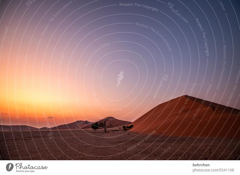 als wir träumten stille beeindruckend sanddüne Sesriem Sonnenaufgang Natur romantisch Morgendämmerung Freiheit besonders Ferne Namibia magisch Düne kitschig