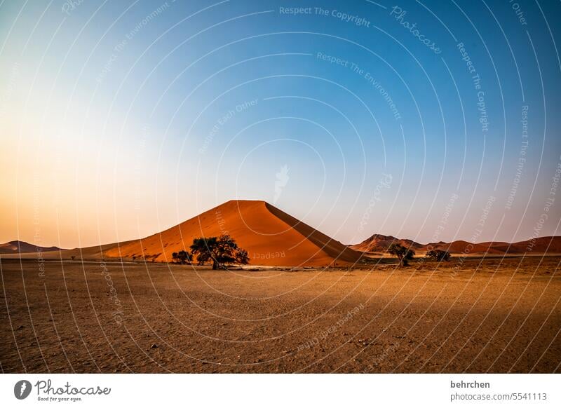 lieblingsorte beeindruckend Düne magisch sanddüne Sonnenaufgang Dämmerung Dünen Morgendämmerung stille Himmel besonders traumhaft Abenteuer Einsamkeit