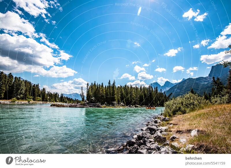 alles ist im fluss Wasser Abenteuer Bäume Wald Ferne Fluss Ferien & Urlaub & Reisen Fernweh Banff National Park Alberta Rocky Mountains Nordamerika canmore