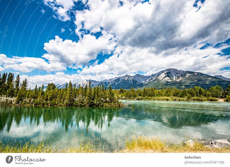 spiegeleigeschichten Bow River canmore Nordamerika Rocky Mountains Farbfoto Kanada Berge u. Gebirge Landschaft Natur Außenaufnahme Himmel Alberta fantastisch