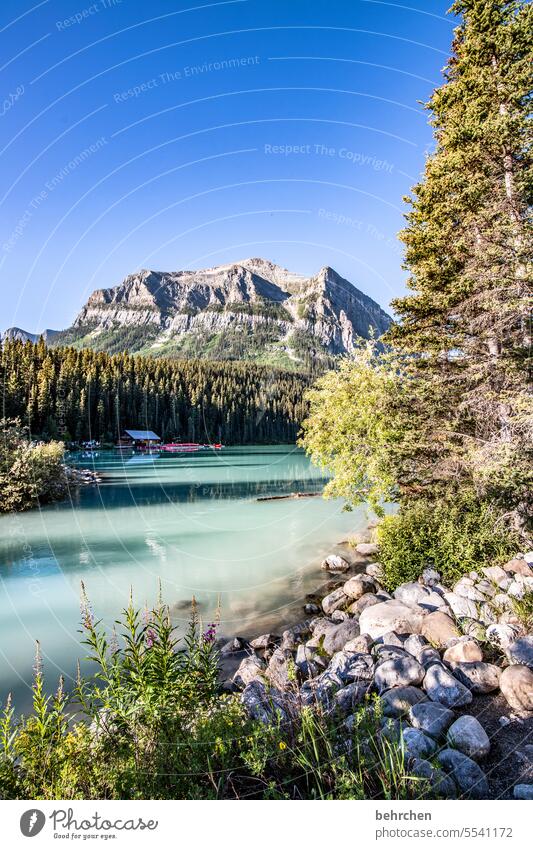 immer wieder kanada Natur Kanada See Alberta Lake Louise Rocky Mountains Nordamerika Bergsee Banff National Park Gletscher