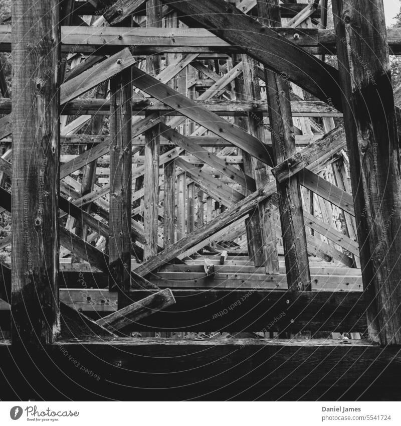 Perspektive durch eine alte Holzbockbrücke Nutzholz Stütze Brücke Strukturen & Formen historisch Schwarzweißfoto Architektur technische Konstruktion Bauwerk