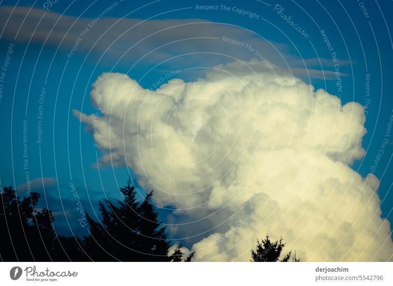 weites land / Bedrohliche   Gestalt über dem Land. Wolkenformation Außenaufnahme Farbfoto Wolkenhimmel Menschenleer Wetter Tag Wolkenbild Klima blau