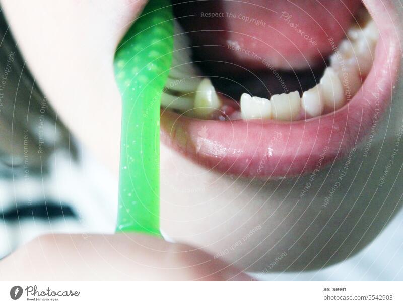 Zähne putzen Zahnbürste Milchzähne Kind 6 bis 7 Jahre 8-13 Jahre grün Junge Mädchen Zahnarzt Hygiene Farbfoto Kindheit Zahnmedizin Vorsorge Karies vorbeugen
