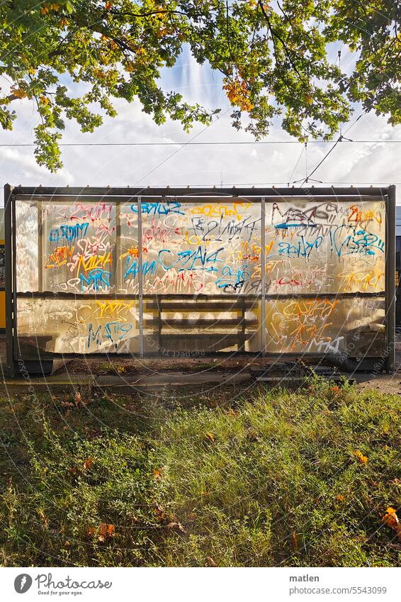 verschoenerte Bushaltestelle im Gegenlicht Baum Himmel Wolken Graffiti Menschenleer Wartehäuschen Öffentlicher Personennahverkehr Haltestelle Wiese Bank