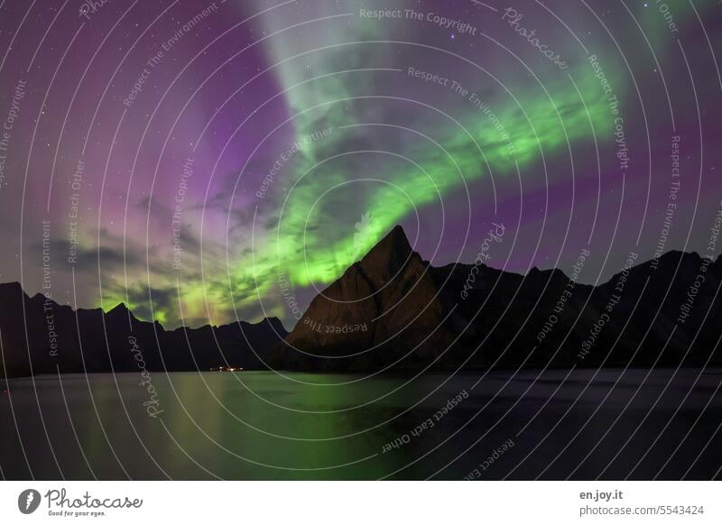 Polarlicht Polarlichter Nordlicht aurora borealis Lofoten Norwegen Skandinavien Nachthimmel Nachtaufnahme leuchten Naturphänomen Fjord Reinefjorden Olstinden